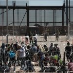 thumbs_b_c_21636243e31eb16b8bb5f