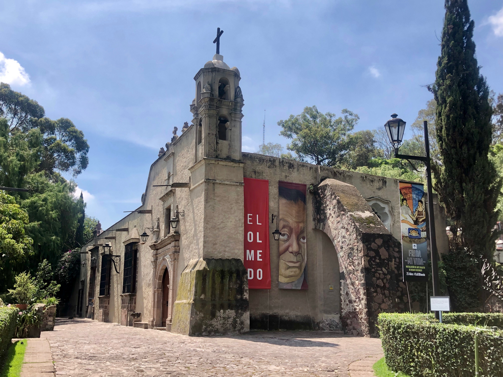 Reapertura del Museo Dolores Olmedo