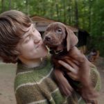 Scooby-Doo llega a Netflix en 2027 con una serie live action