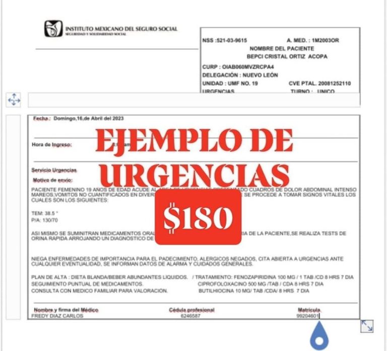 IMSS ejemplo de recetas y justificante en "venta"