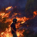 Europa vive una de sus jornadas más críticas por los incendios forestales.