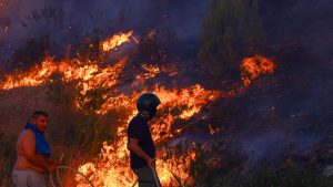 Europa vive una de sus jornadas más críticas por los incendios forestales.