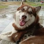 Un juez ordenó pensión alimenticia para Lucas
