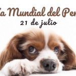 Día mundial del perro