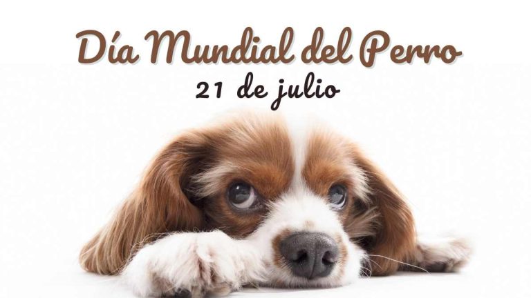Día mundial del perro