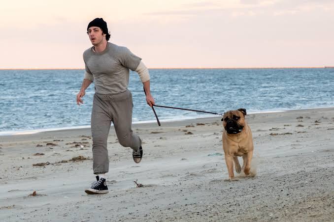 Anthony Ippolito interpreta a Sylvester Stallone